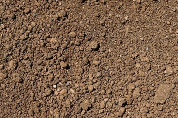 棕砾砂土