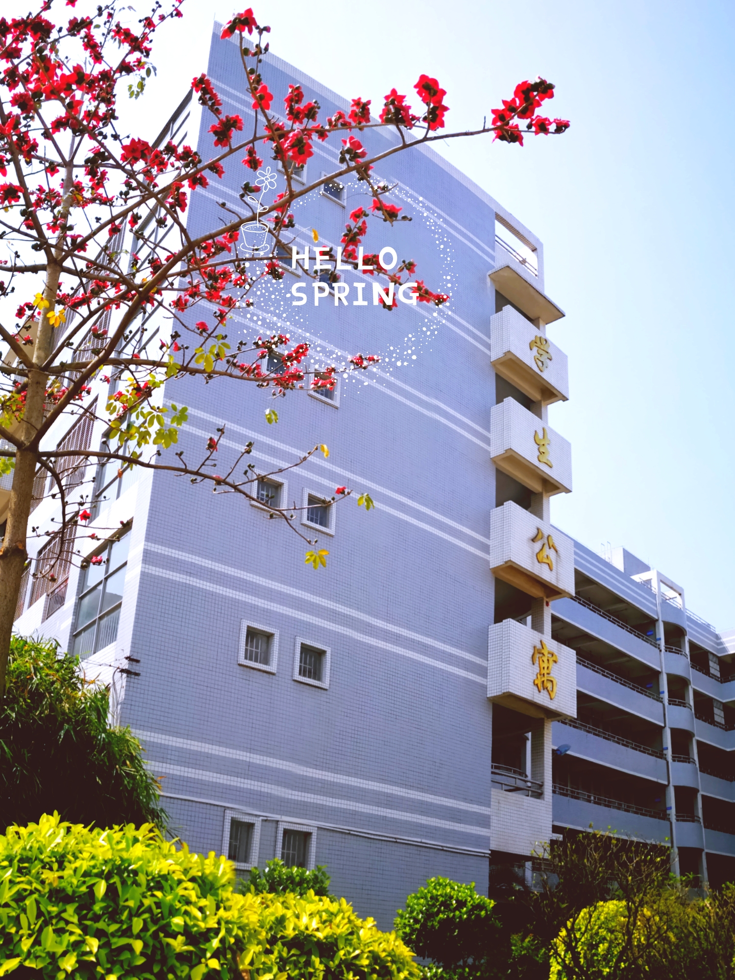 lr">佛山市南海区理工职业技术学校(原佛山市南海区盐步职业技术学校)