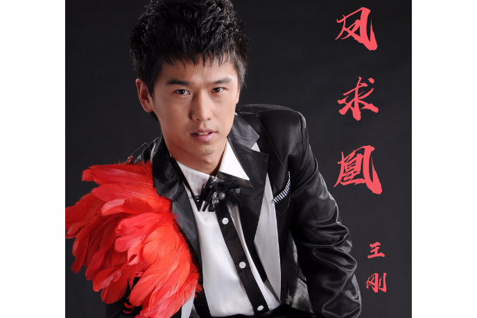 > sup data-ctrid="sffnyfdyhgoo">1 /sup>》,由王刚演唱,姜楠作词,何