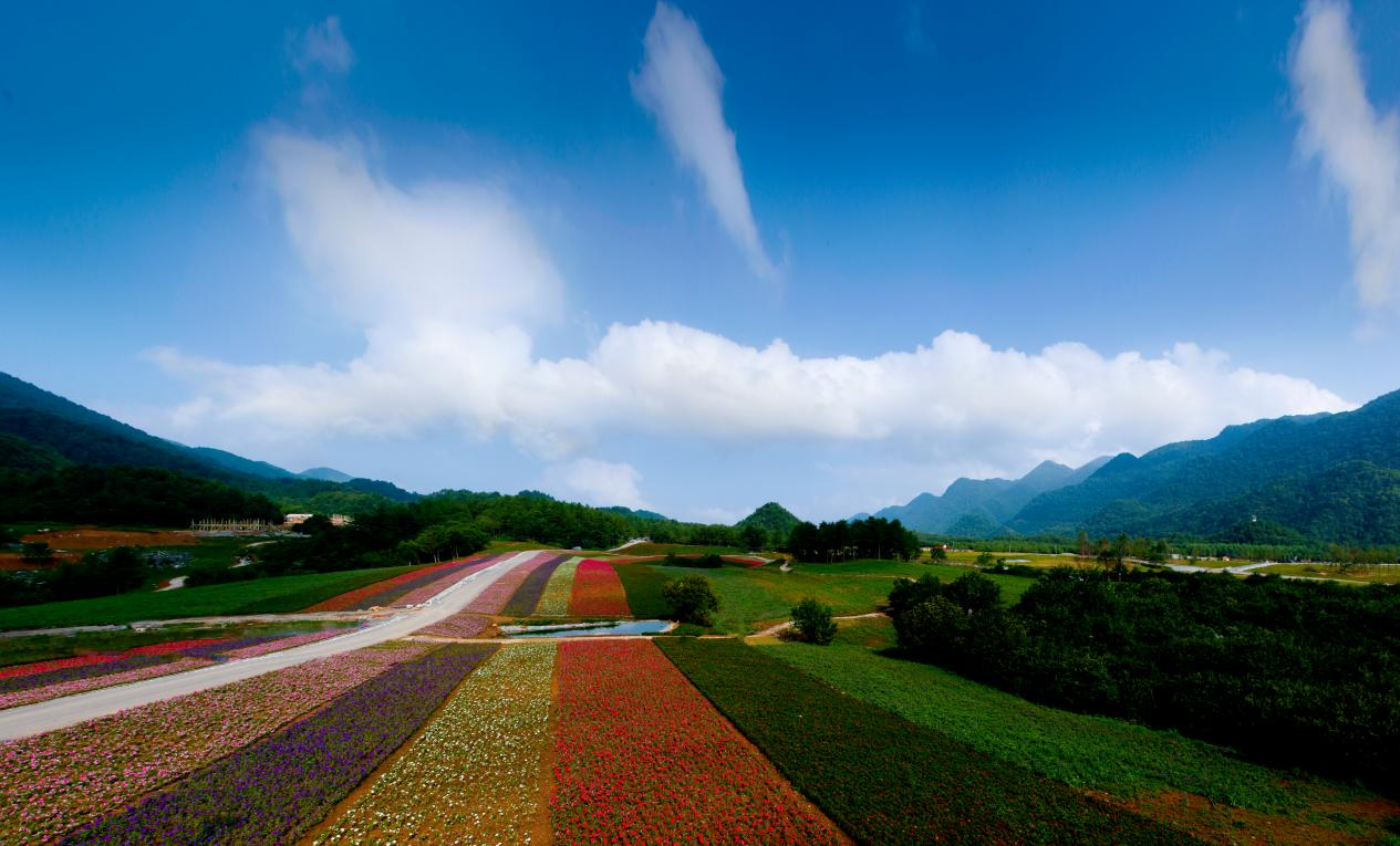  p data-id="gn3gkzdss5">重庆红池坝国家森林公园地处巫溪县西北角, 