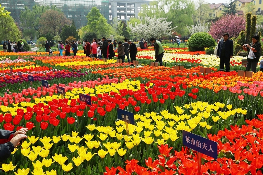 ϶԰Ʊ_۹԰ͼƬ_ҶﲩƱ