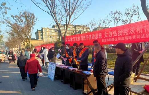 <p>环秀街道开展“宪法日”宣传活动