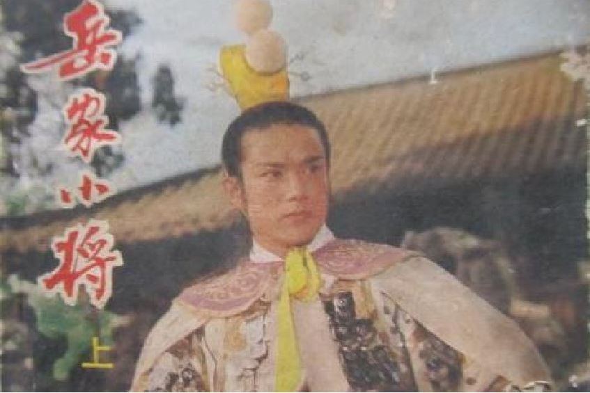  p data-id="gn18svt3p3">《岳家小将(上)》是一部同名电影的故事 a
