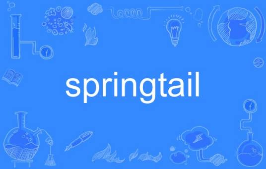 springtail_百度百科
