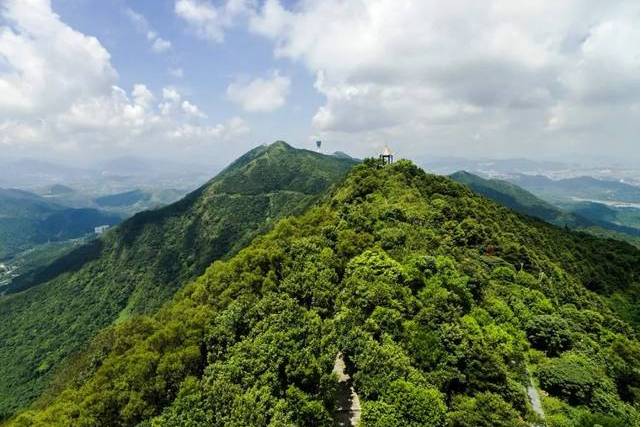 莲花山国家级森林公园