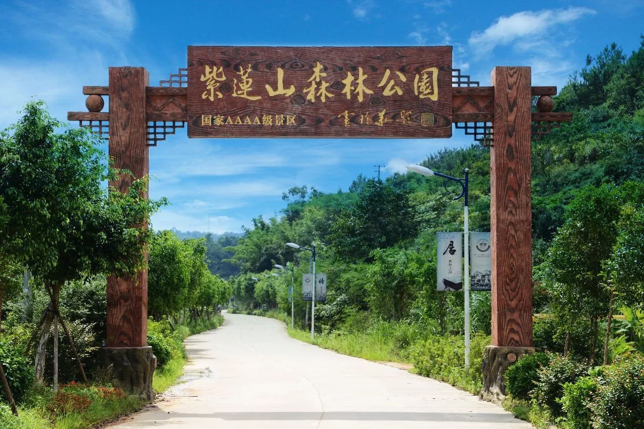 紫莲生态旅游度假区