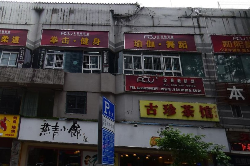 东园大厦