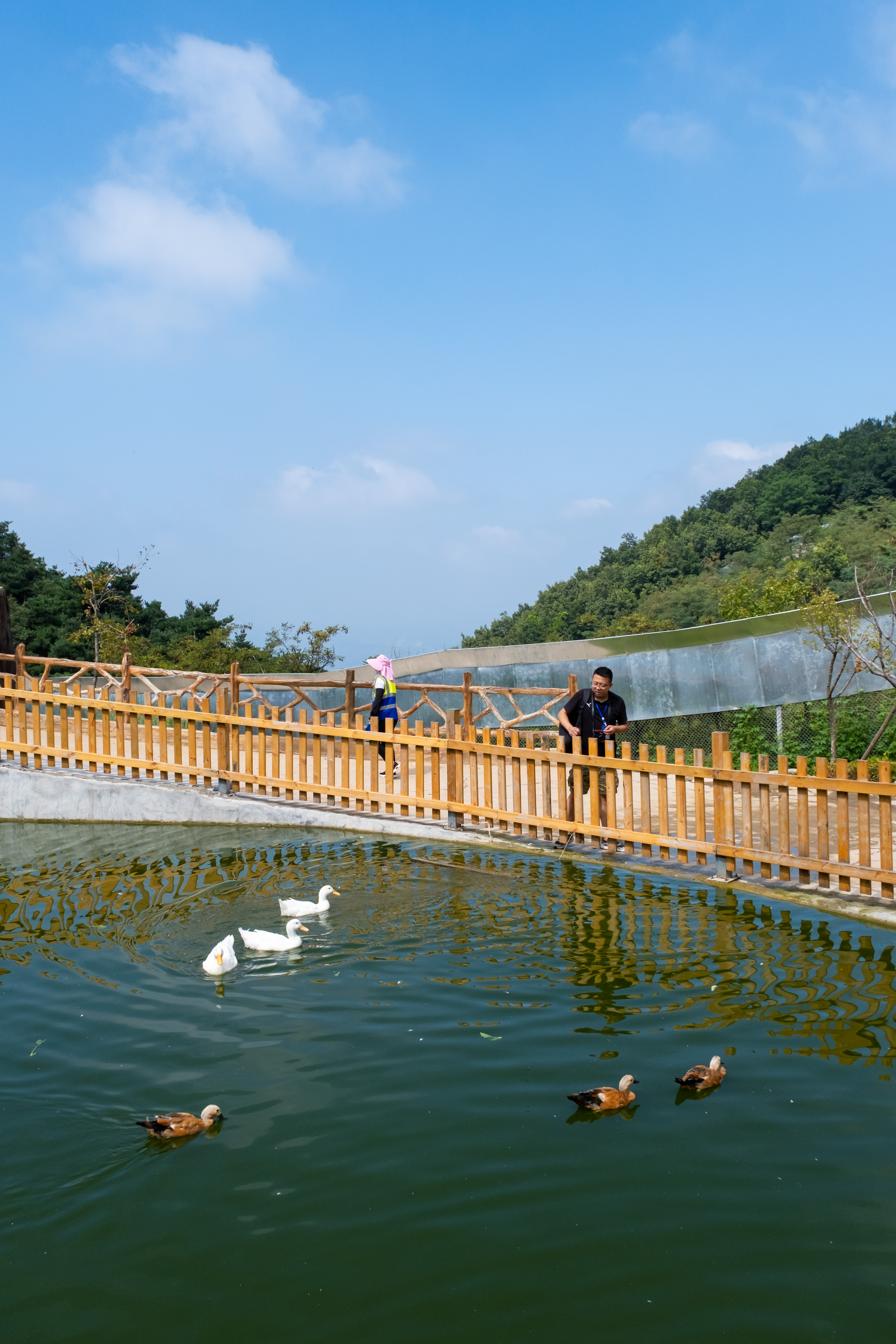 跑马岭·森林部落