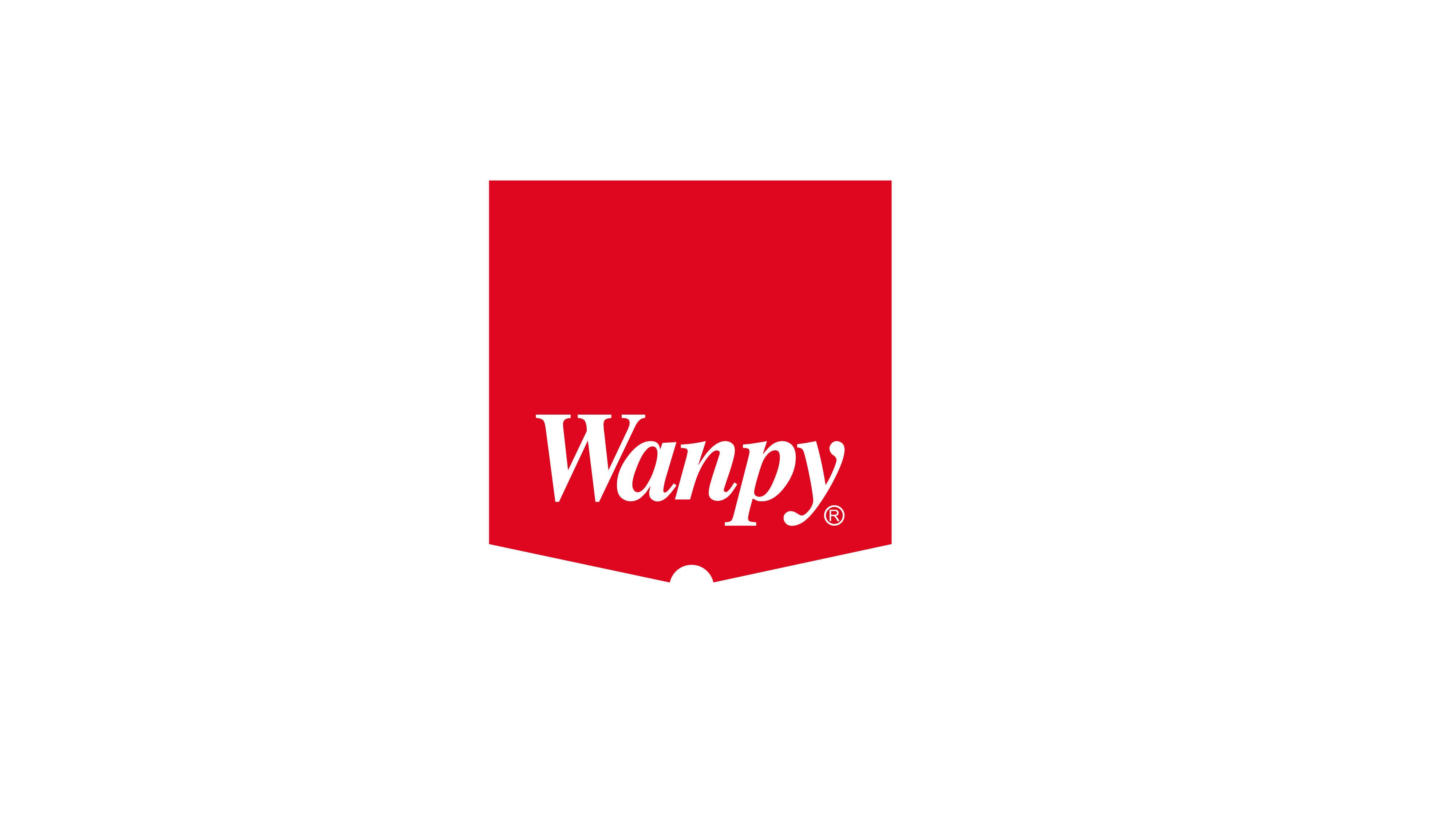 顽皮wanpy