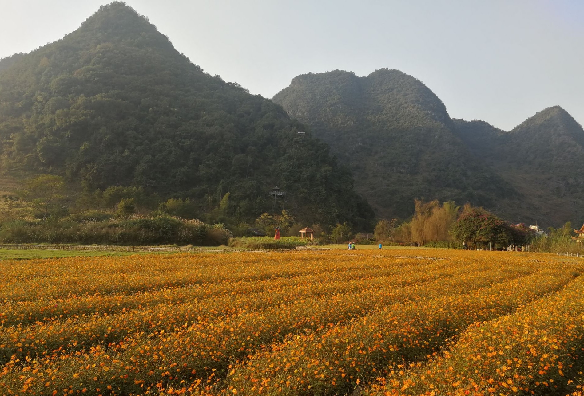  p>穿云洞公园地处兴义市中心区,植被繁茂,环境清幽.