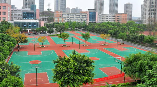 重庆市巴南中学校