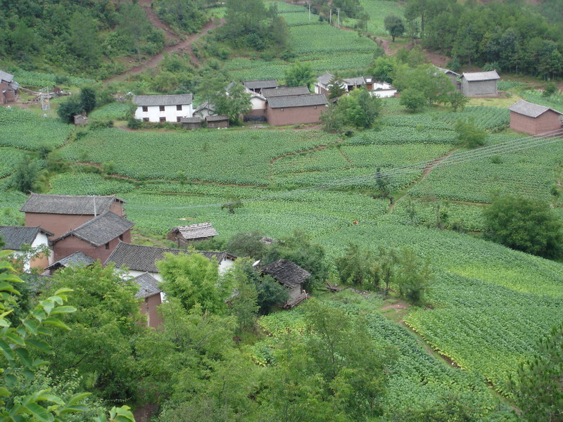  p>团结彝族乡位于云龙县城东部,关坪河流域,1989年成立彝族乡, 云龙