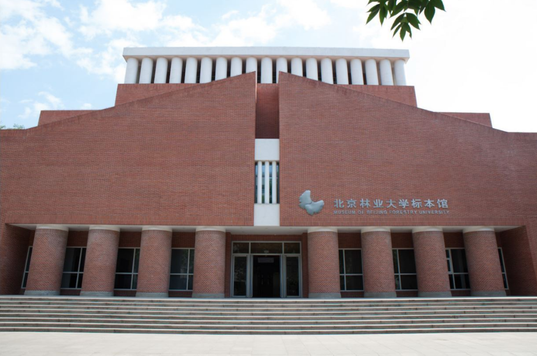 北京林业大学博物馆