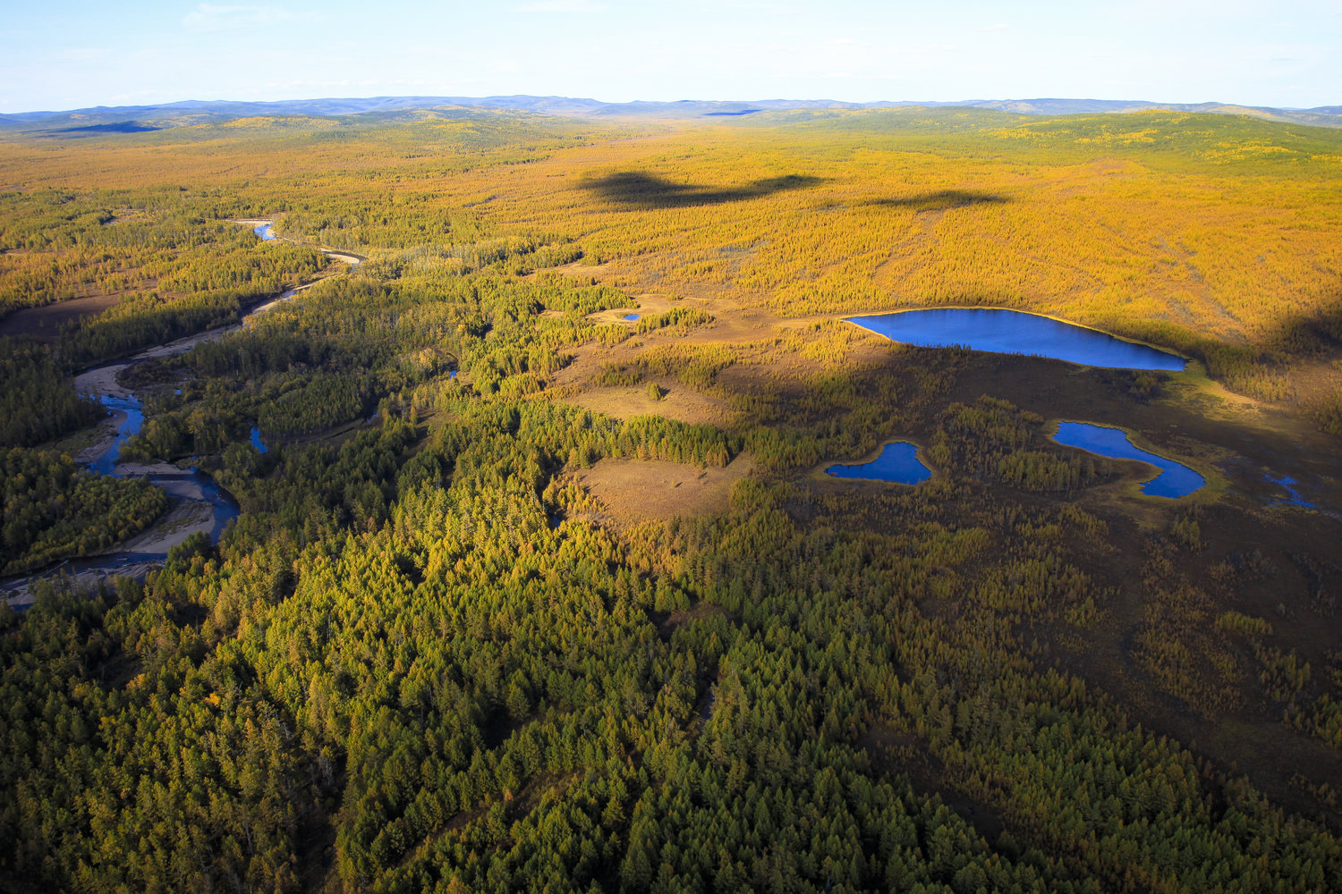 内蒙古自治区大兴安岭汗马国家级自然保护区