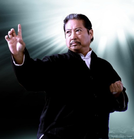 中国香港男演员,导演,动作指导,监制,编