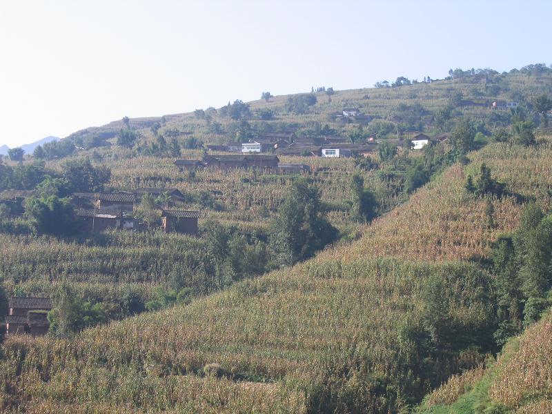  p>闸塘自然村,隶属云南省昭通市彝良县角奎镇塘房村,属于半山区.