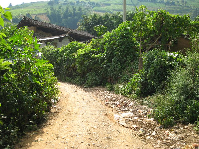  p>大田坝自然村,隶属云南省保山市施甸县旧城乡大田坝村,属于山区.
