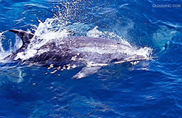  p>太平洋(pacific ocean)是世界上最大,最深,边缘海和岛屿最多的大洋