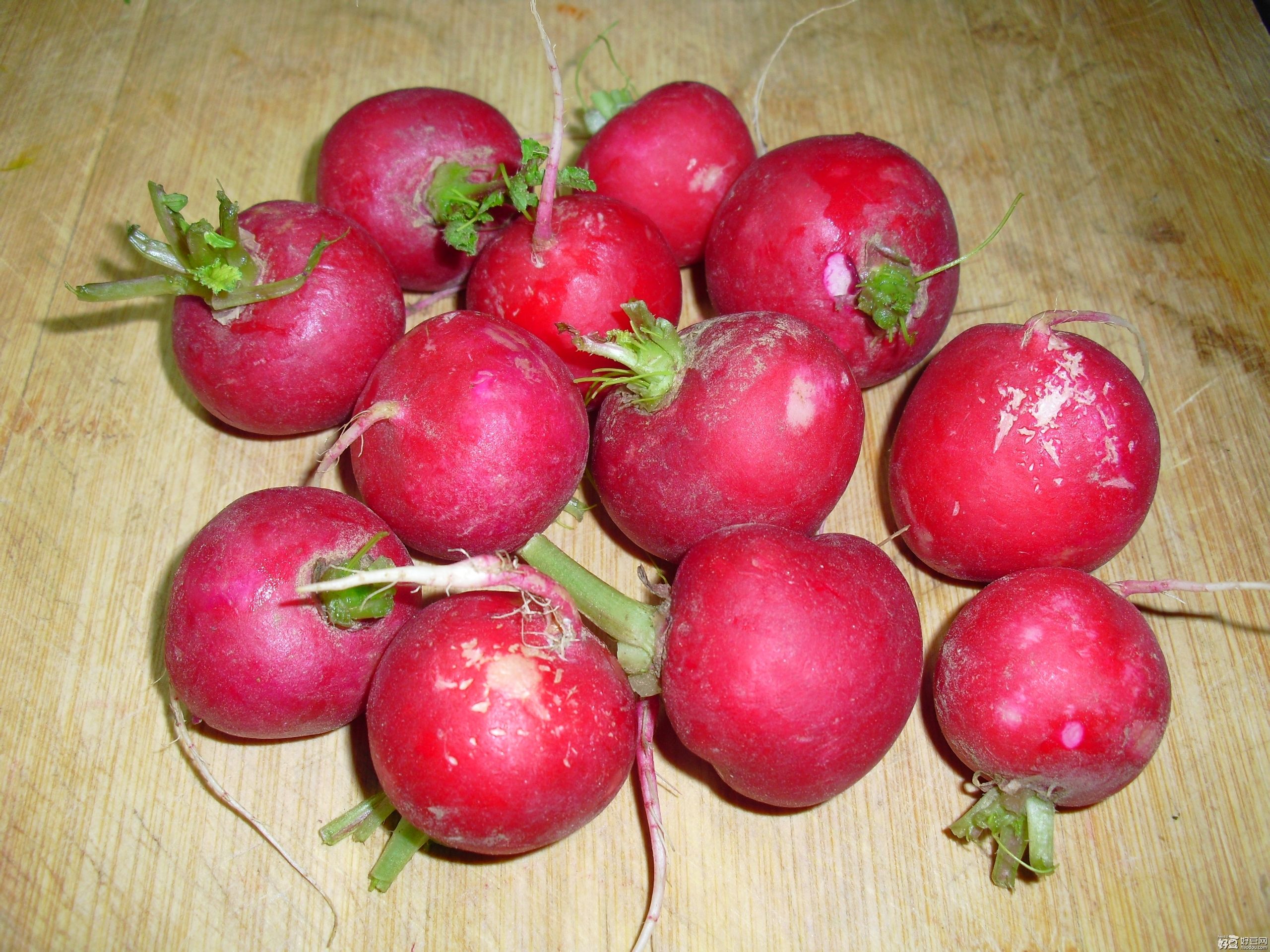 樱桃萝卜