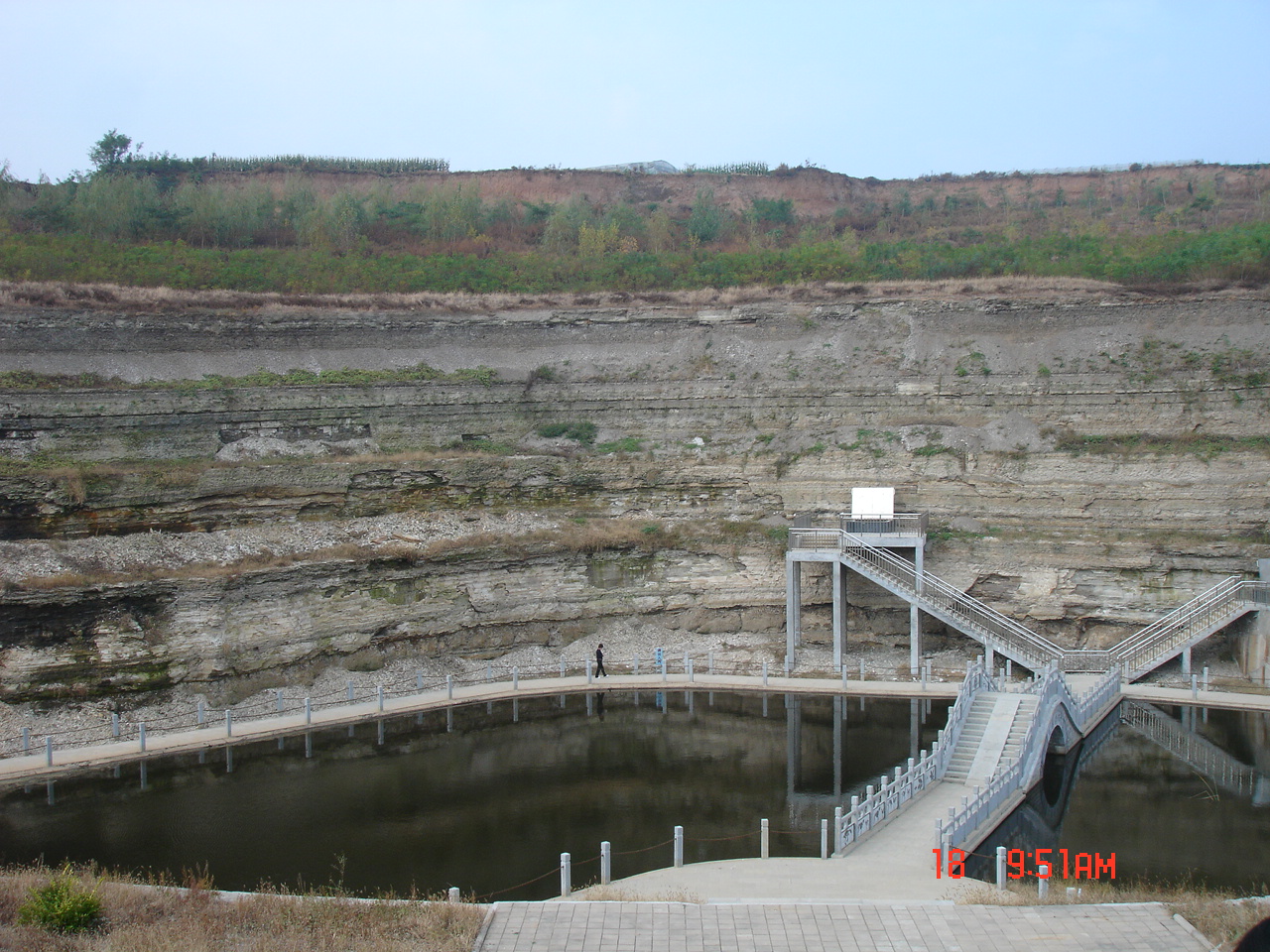 山旺古生物化石