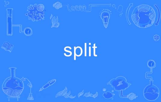 SPLIT（英语单词）_百度百科