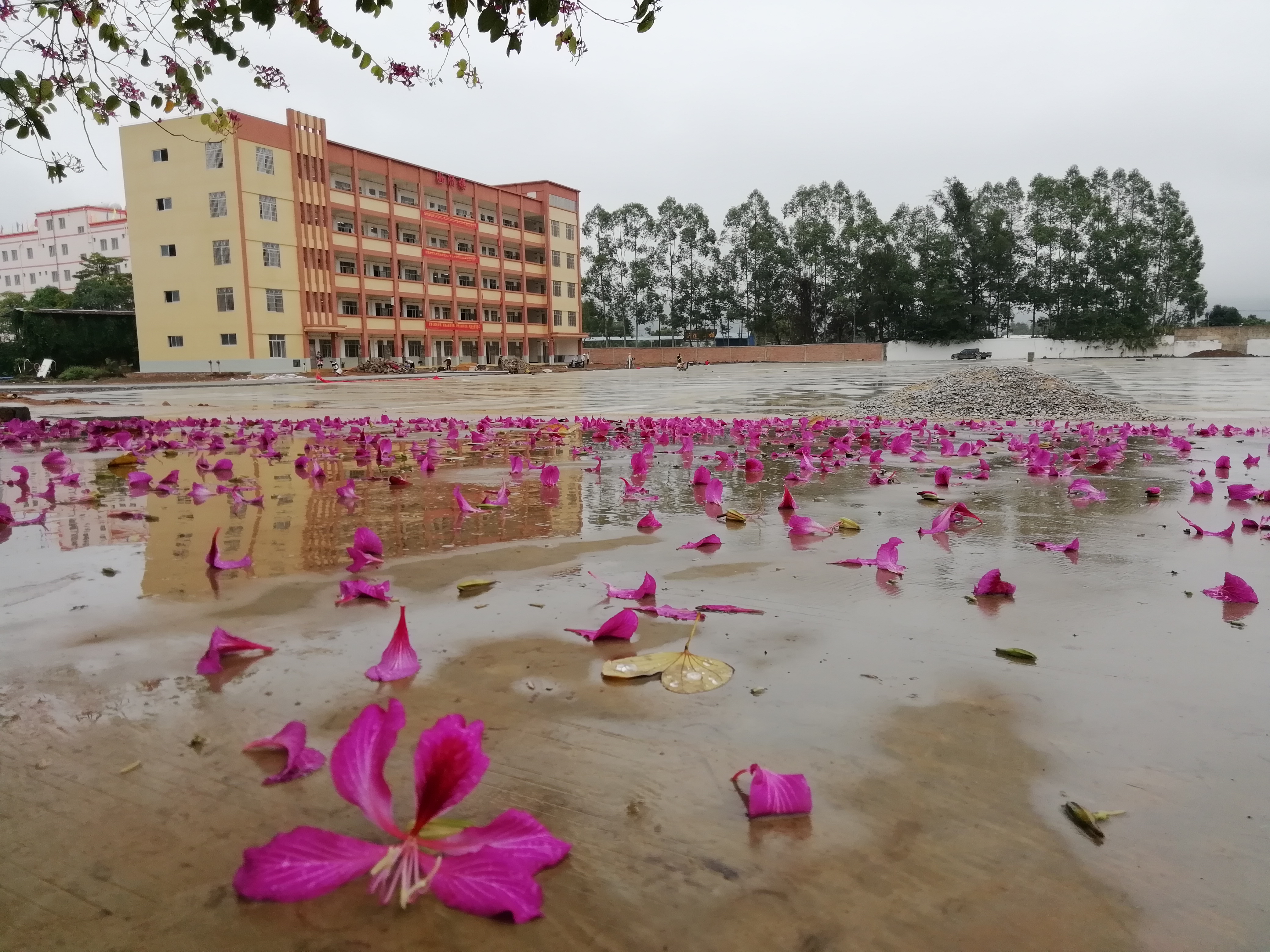 兴业县龙安镇第一初级中学