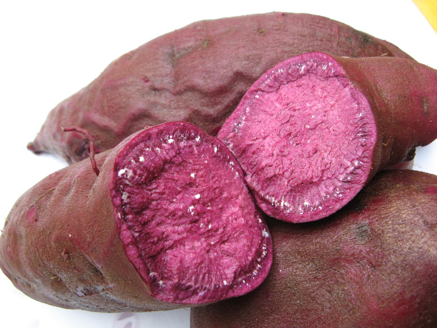 日本川山紫黑红薯