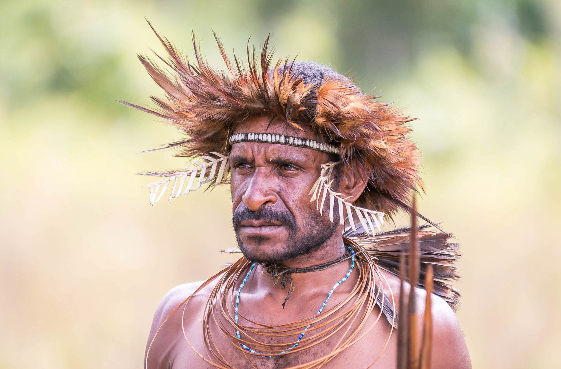  p>棕色人种,又称澳大利亚人种,是按照遗传和体质为人类分类所划分出