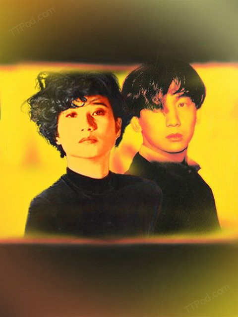 金曲超级星(金曲超级星十强决定赛)