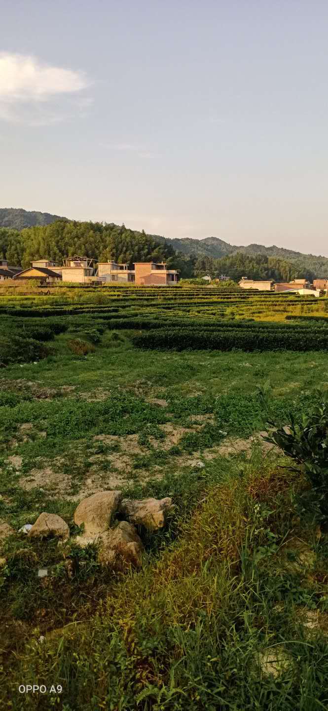  p>兰洞是汝城县 a target="_blank" href="/item/三江口瑶族镇">三