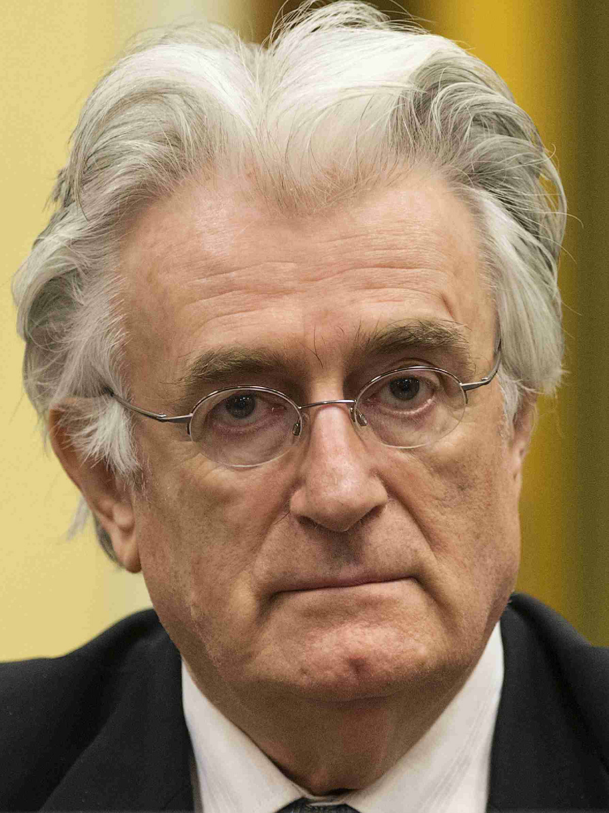 共和国/3394350" data-lemmaid="3394350">波黑塞族共和国 /a>总统, a