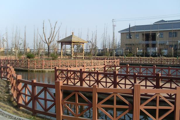 射阳县初级中学