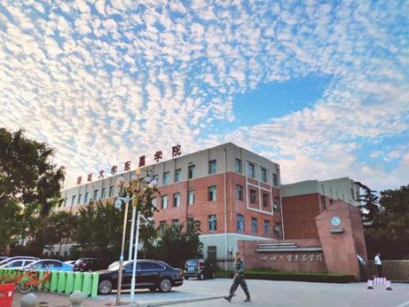 聊城大学东昌学院