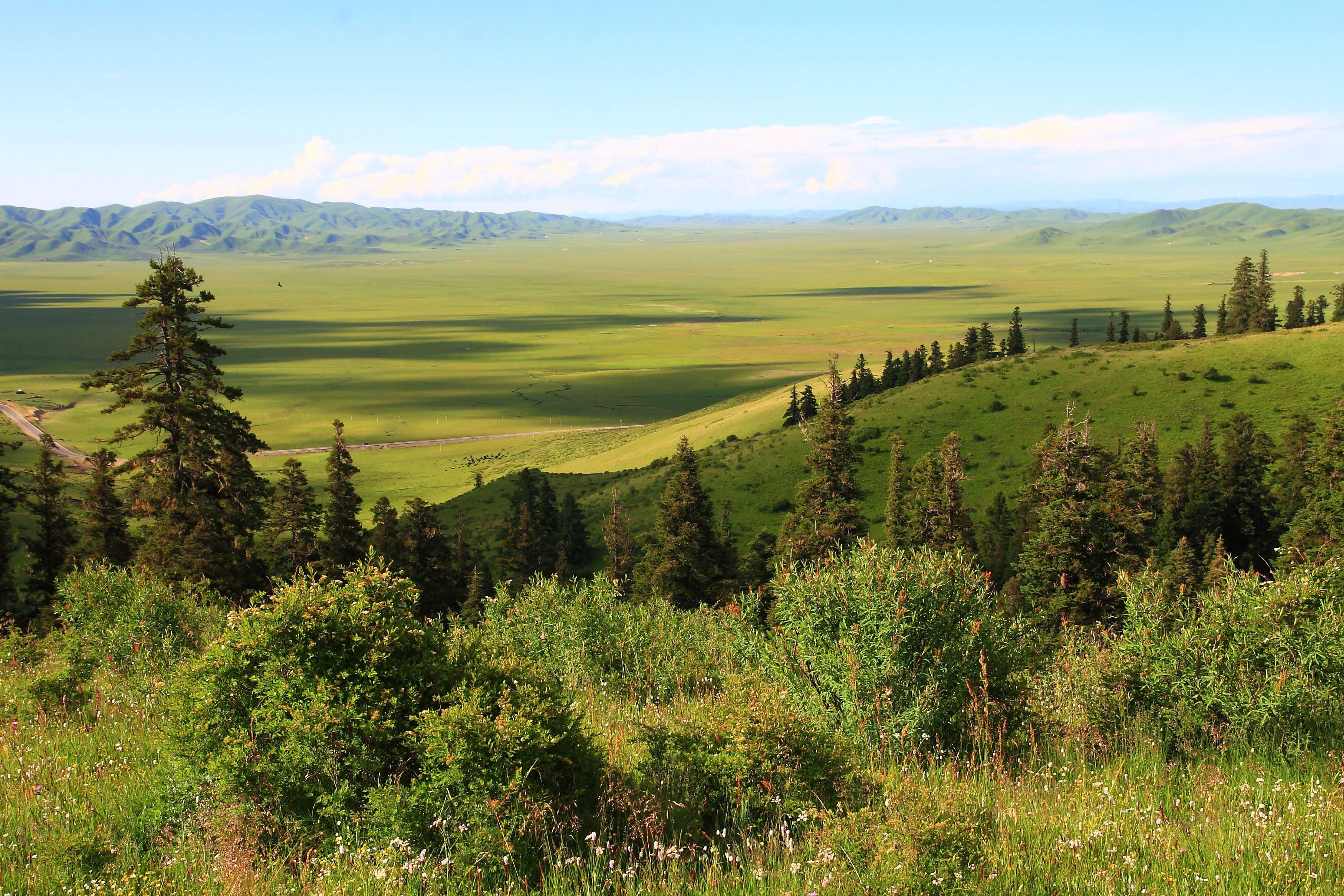 红原大草原旅游景点(红原大草原旅游景点海拔多少?
