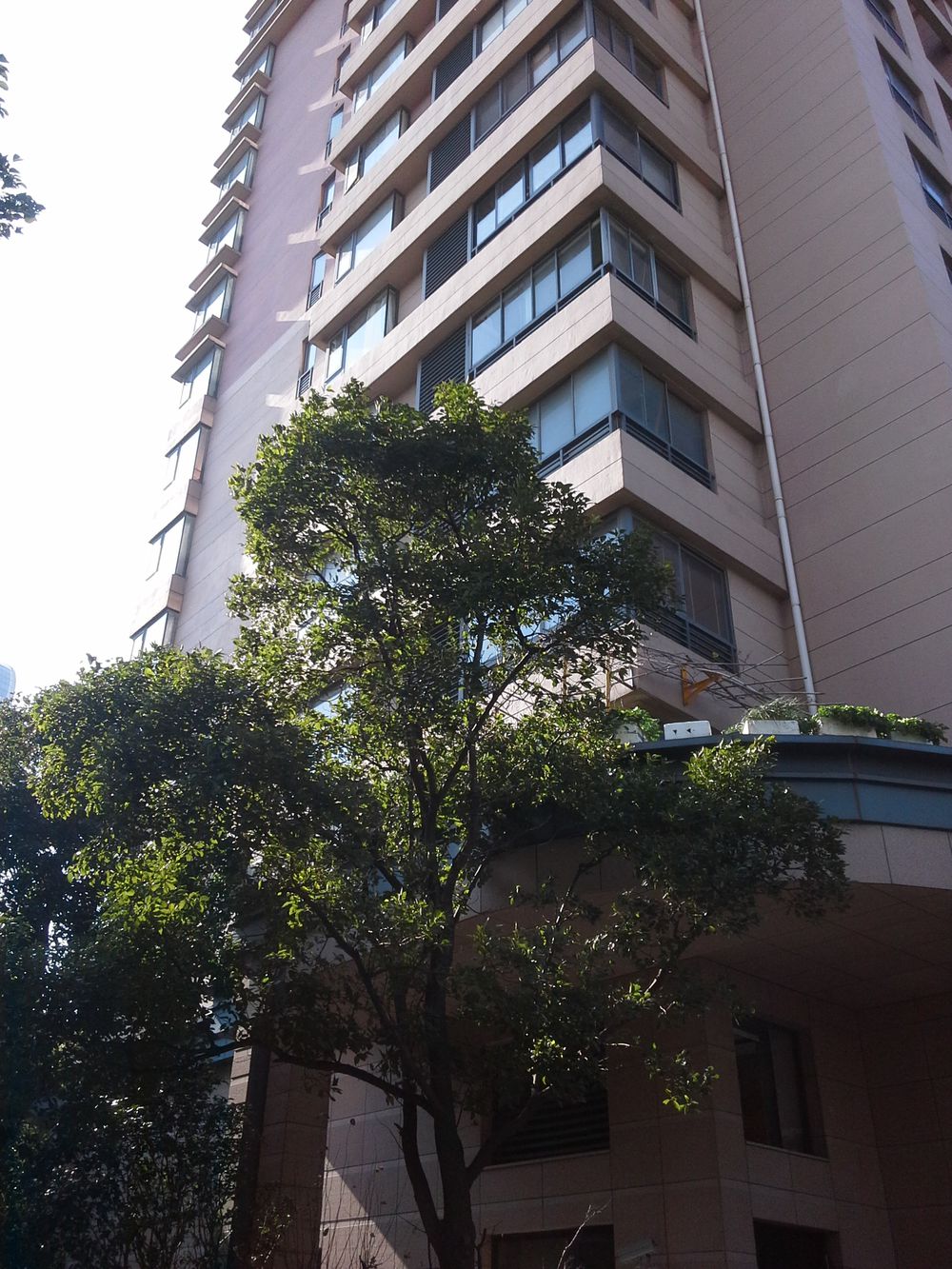  p>复城国际(公寓)位于上海市虹口曲阳,由上海复地智宝房地产开发有限