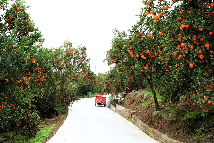  p>太龙镇,隶属于重庆市万州区,地处 a target="_blank" href="/item