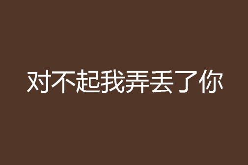 对不起我弄丢了你