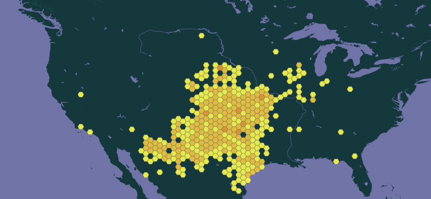 头中等大小,顶部光滑,棕色或绿色,吻不突出;头背面具黄色斑点,喙黄色