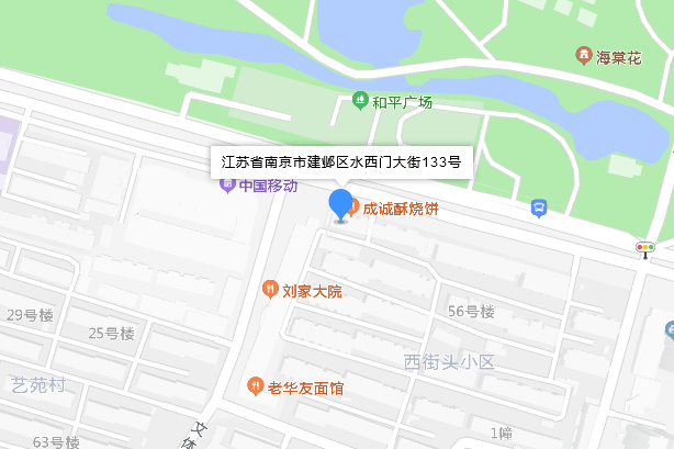 水西门大街133号