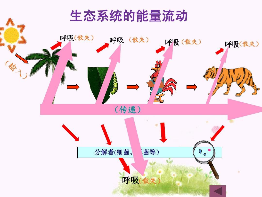 p></p></a>能量流动(energy flow)是美国生态学家 a target="_blank" href="