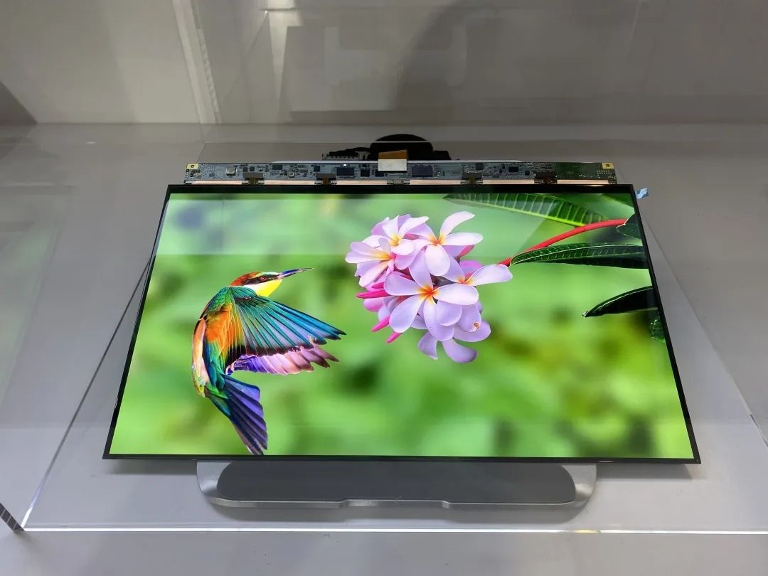 京东方 f-oled ltpo 变频显示屏