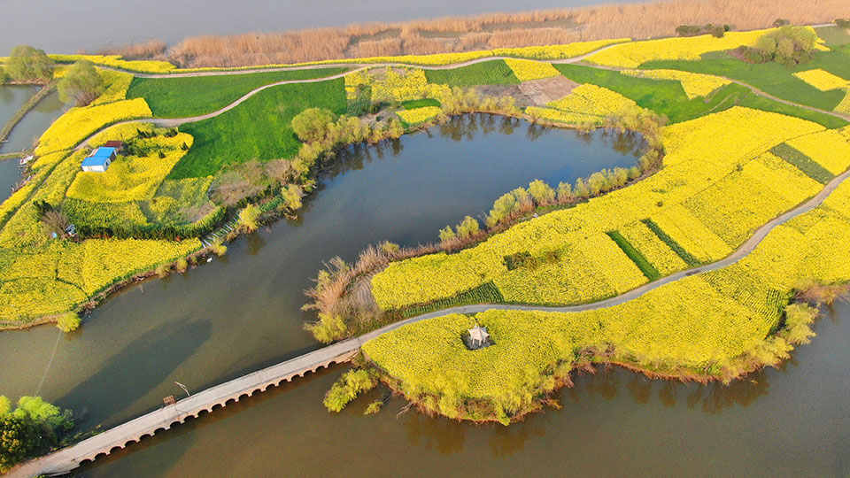 长青沙旅游度假区
