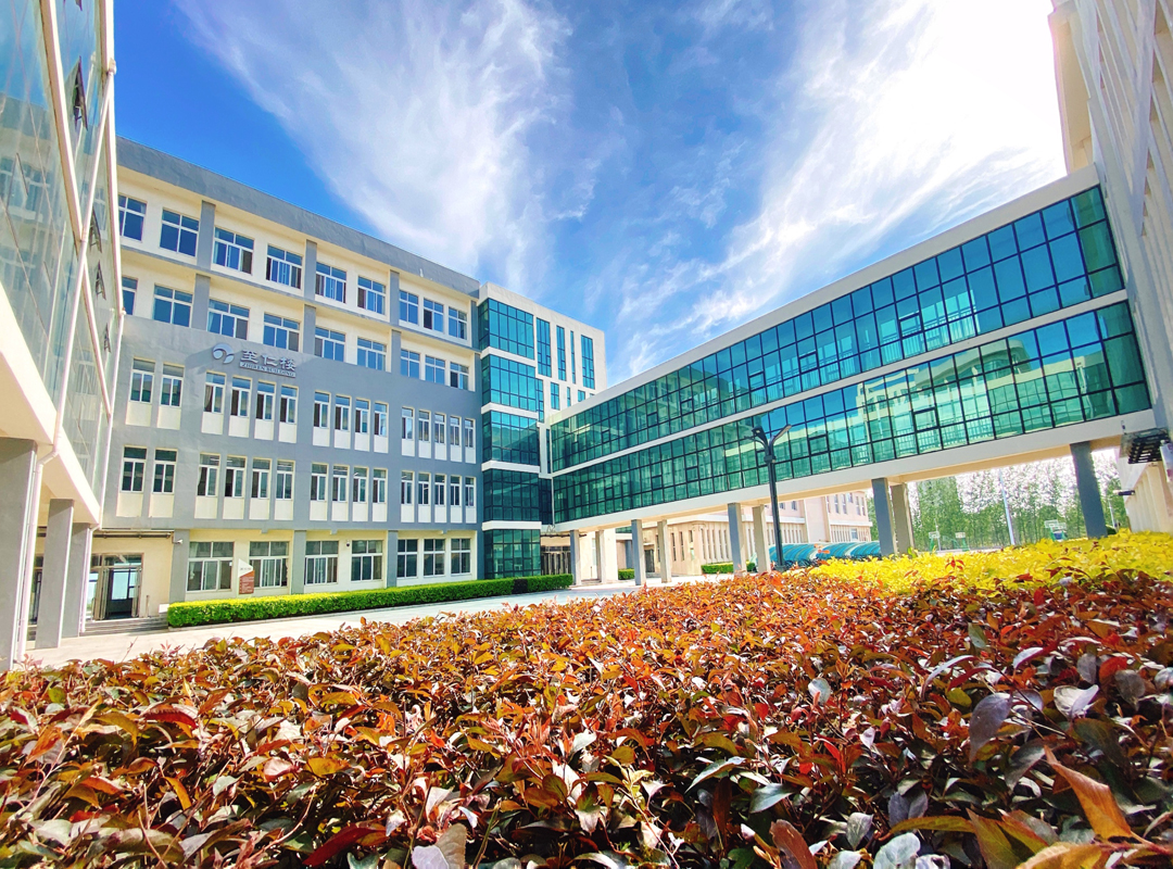 大洼区高级中学