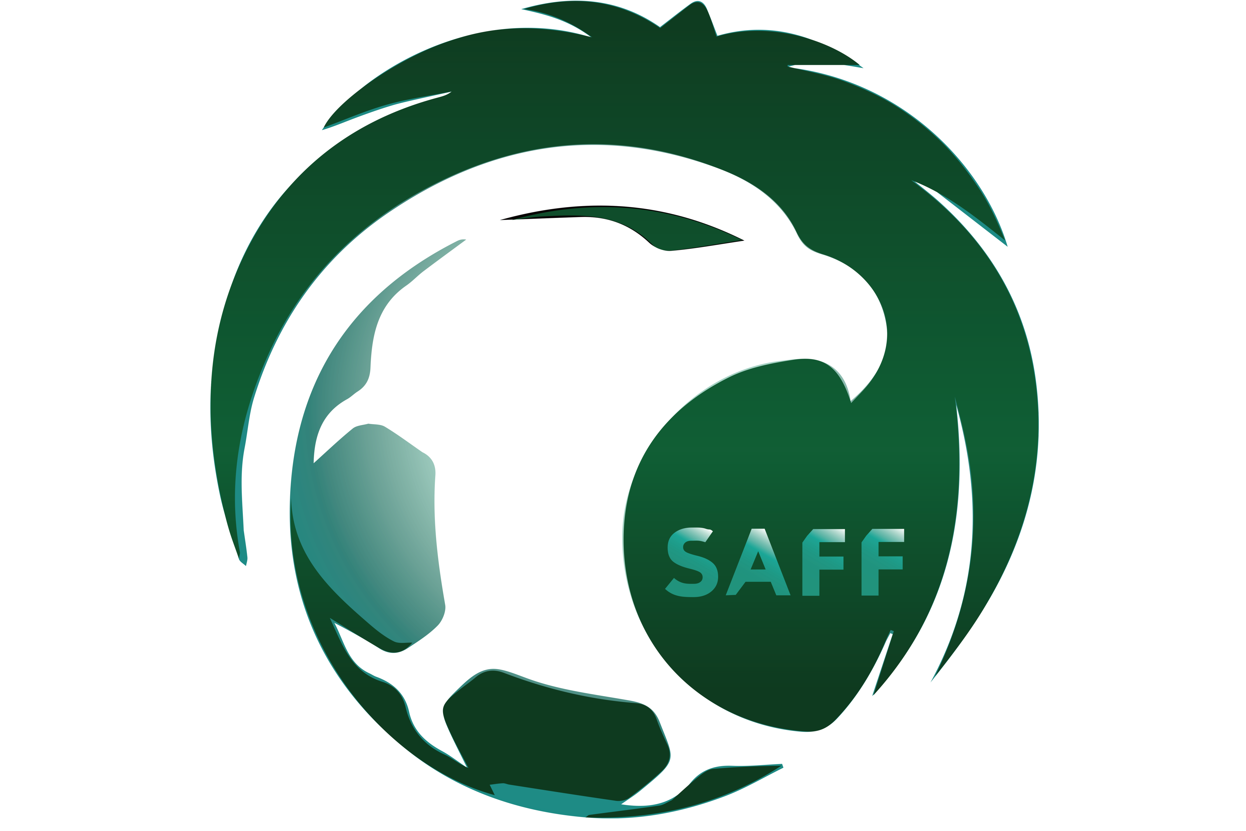 沙特阿拉伯男子足球队