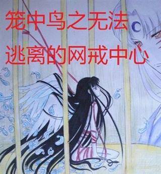 笼中鸟之无法逃离的网戒中心_百度百科