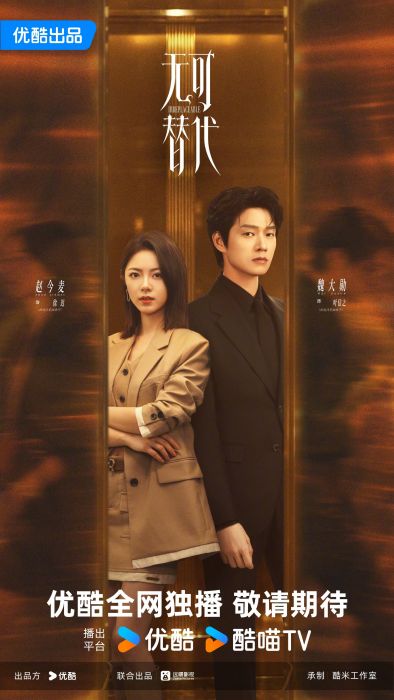 无可替代‎ (2026) DV /集 更09集，赵今麦/魏大勋