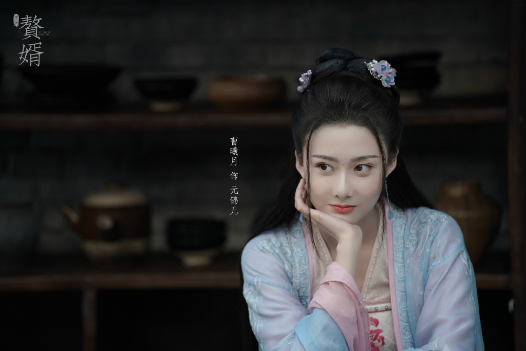 赘婿