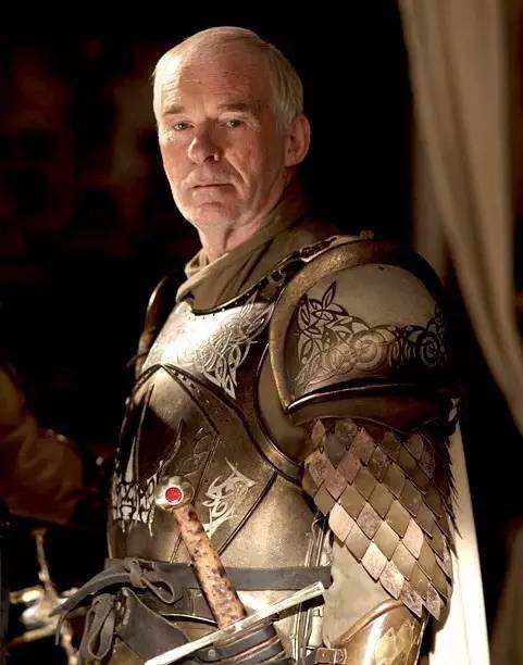  p>巴利斯坦·赛尔弥( i>barristan selmy /i>)是奇幻作品《 a target