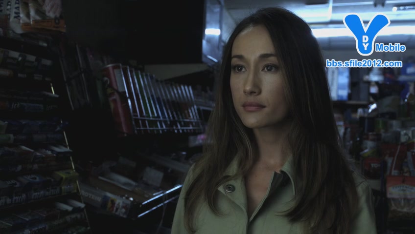  p>《尼基塔》是由丹尼·加农执导的电视剧,共有四季,由 a target="