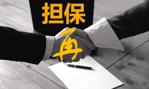 所谓 再担保,是指为担保人设立的担保